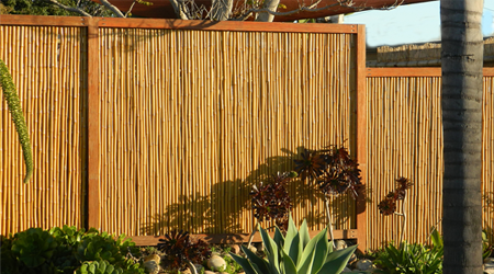 outdoor bamboo fencing with plants