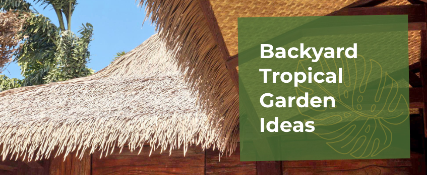 Backyard Tropical Garden Ideas