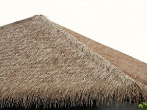 roof with Viro Thatch panels