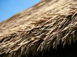 Viro Thatch roof close up