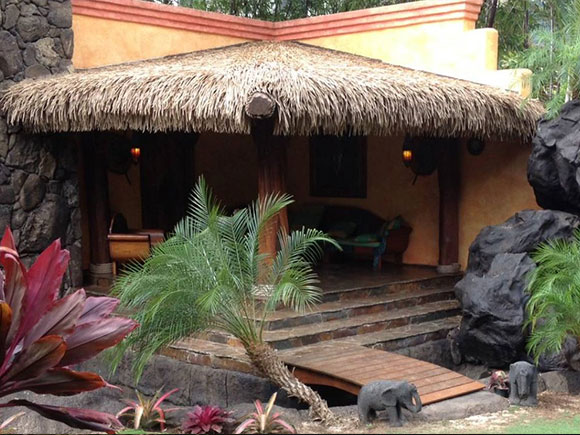 Viro Thatch Products - Backyard X-Scapes