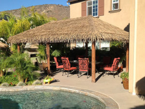 Viro Thatch poolside palapa